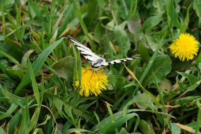 Прикрепленное изображение: DSC02473-1.jpg